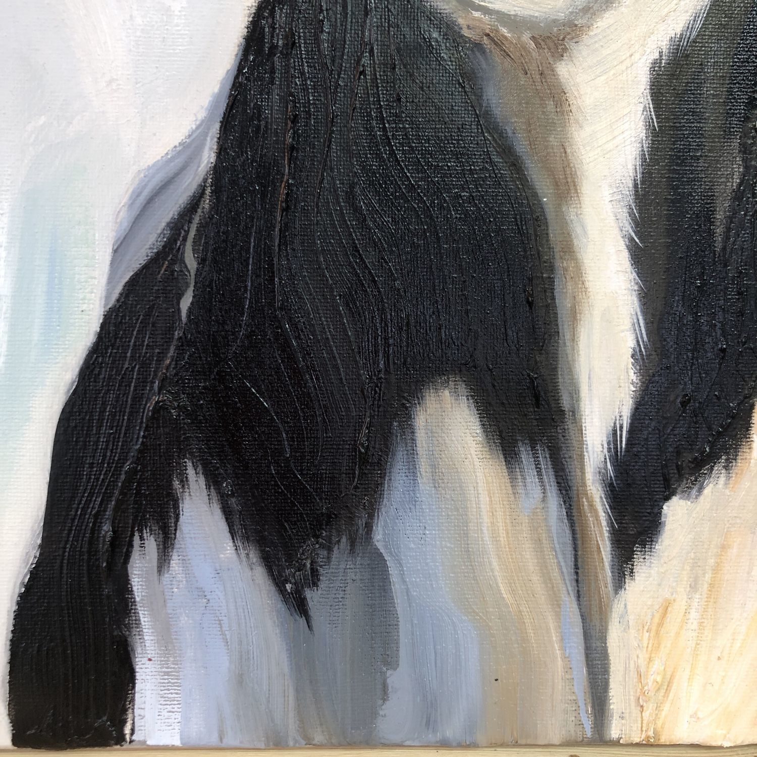 Картина животные корова "Джентельмен"